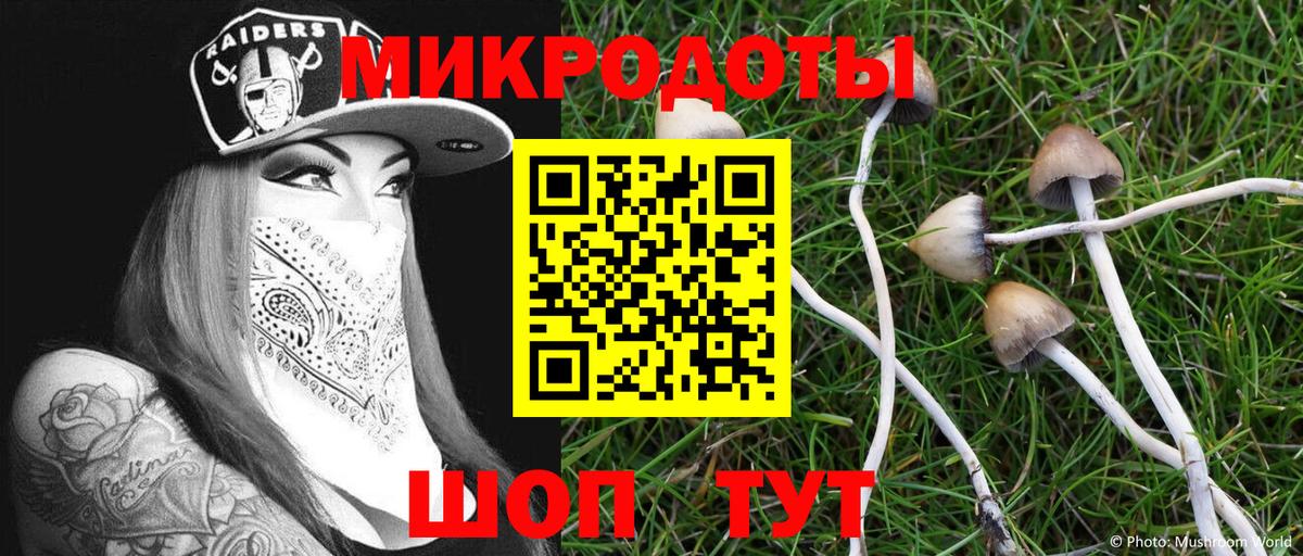 Галлюциногенные грибы Magic Shrooms  Вход с VPN  магазин    Псилоцибиновые грибы Cubensis  Калуга 